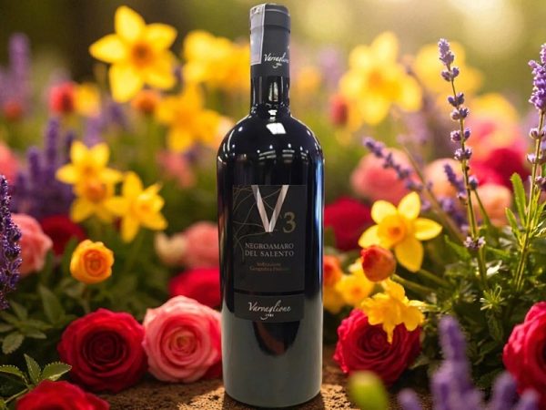 vang-v3-negroamaro-del-salento-3 vang v3