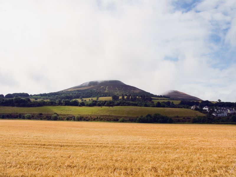 Vùng Lowlands làm Scotch Whisky