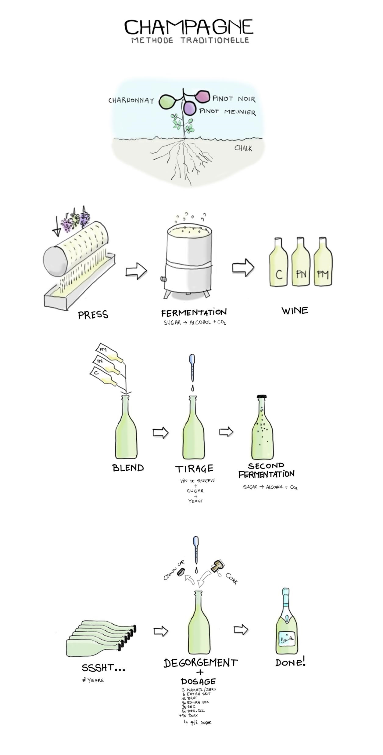 Quy trình sản xuất rượu champagne