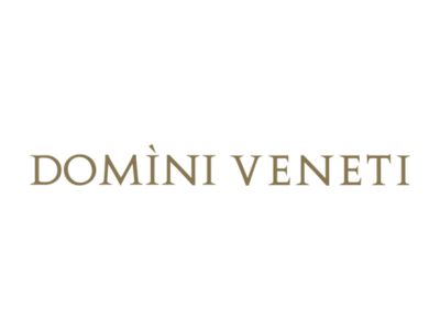 Logo Rượu Vang Domini Veneti