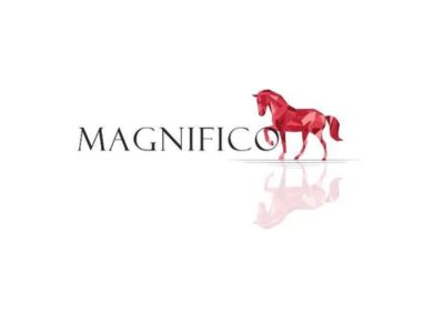 Logo Rượu Vang Magnifico