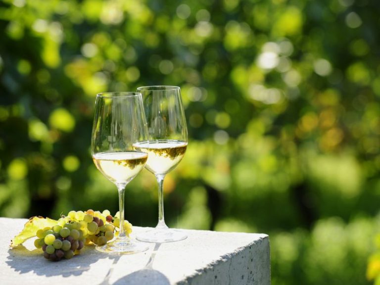 Sơ lược về rượu vang trắng