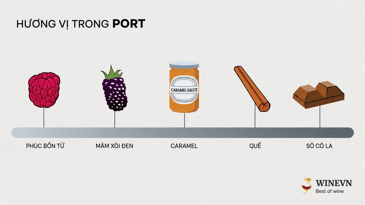 Hương vị Port Wine
