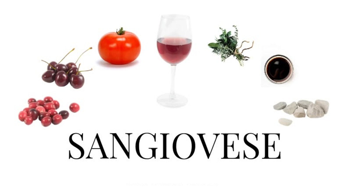 Nho Sangiovese của Ý