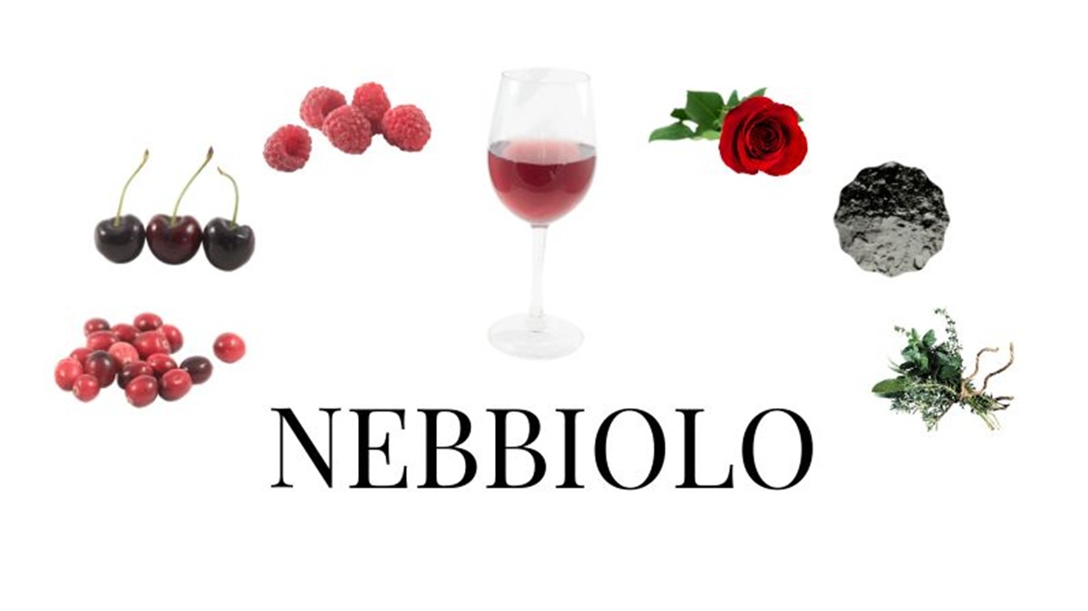 Nho Nebbiolo của Ý