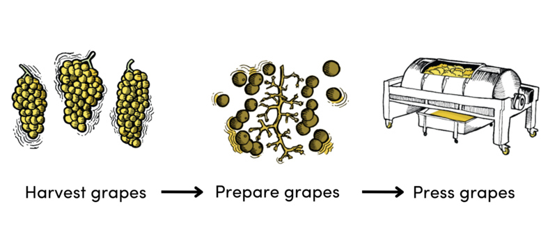 quy trình sản xuất rượu champagne 