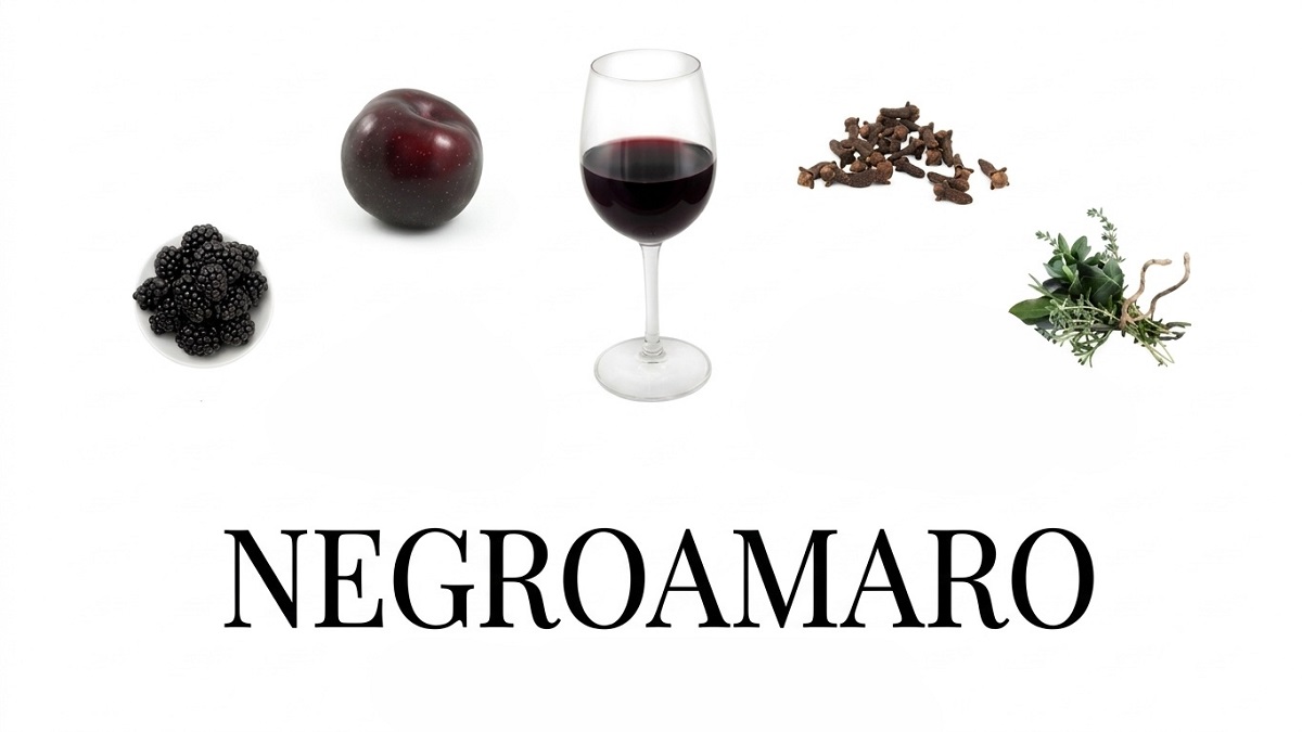 Nho Negroamaro của Ý