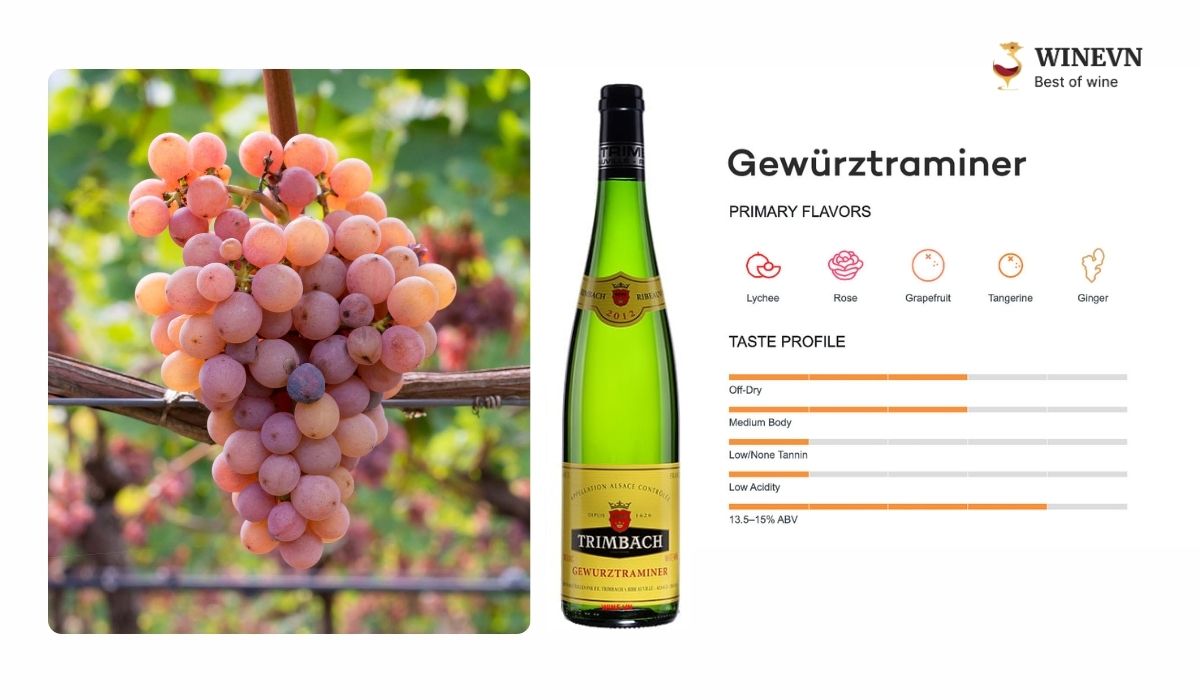 Nho Pinot Meunier của Pháp