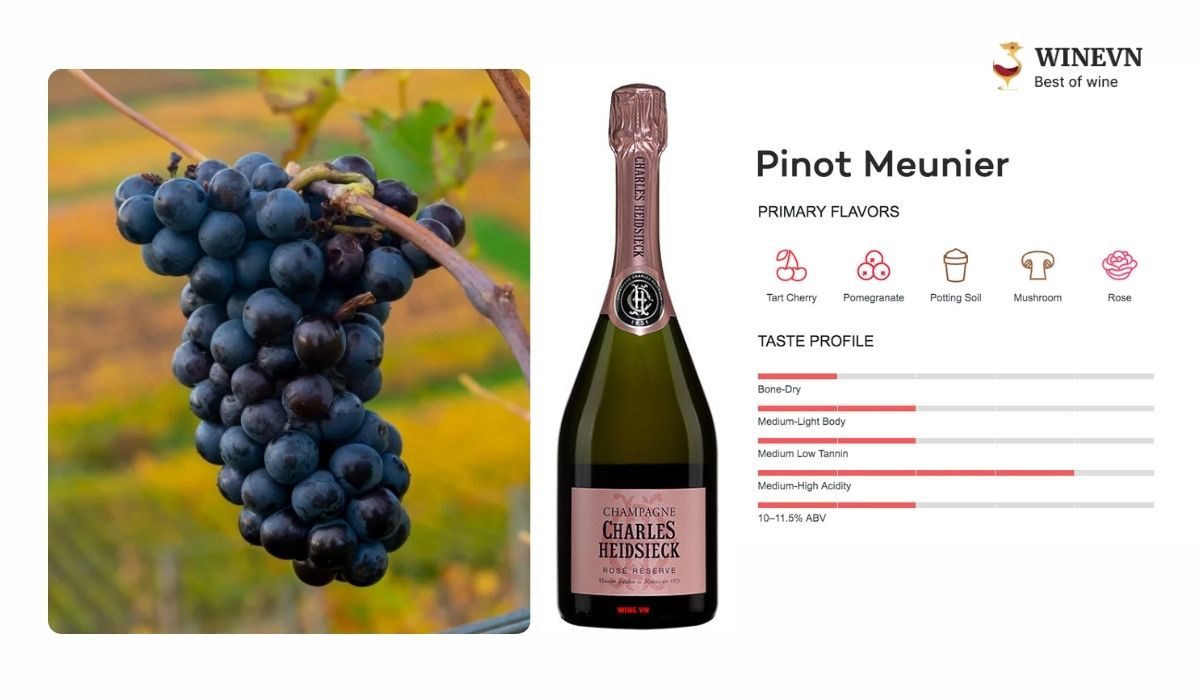 Nho Pinot Meunier của Pháp