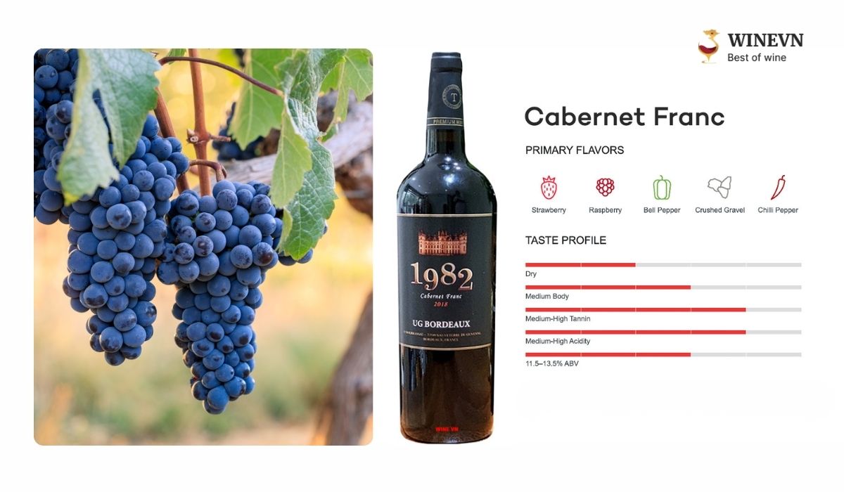 Giống nho Cabernet Franc làm rượu vang