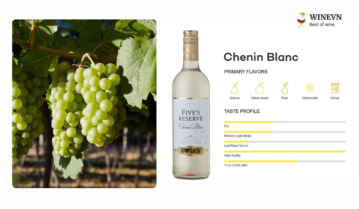 Giống nho Chenin Blanc làm rượu vang
