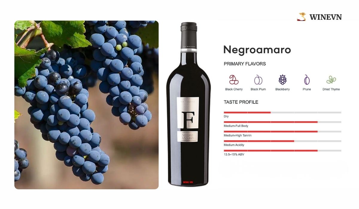 Giống nho Negroamaro làm rượu vang