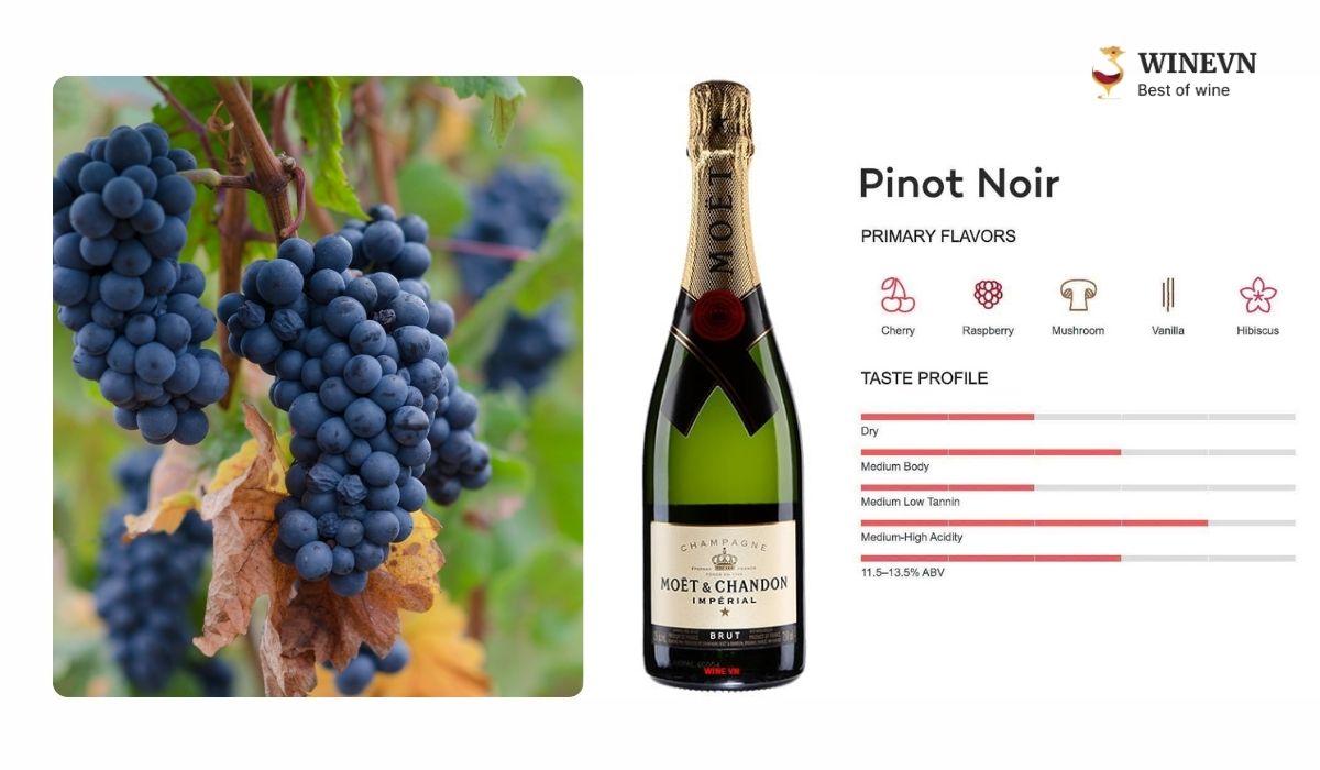 Giống nho Pinot Noir làm rượu vang