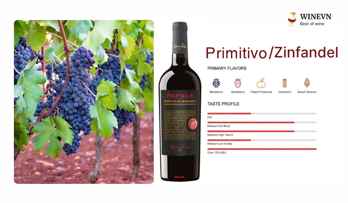 Giống nho Primitivo làm rượu vang