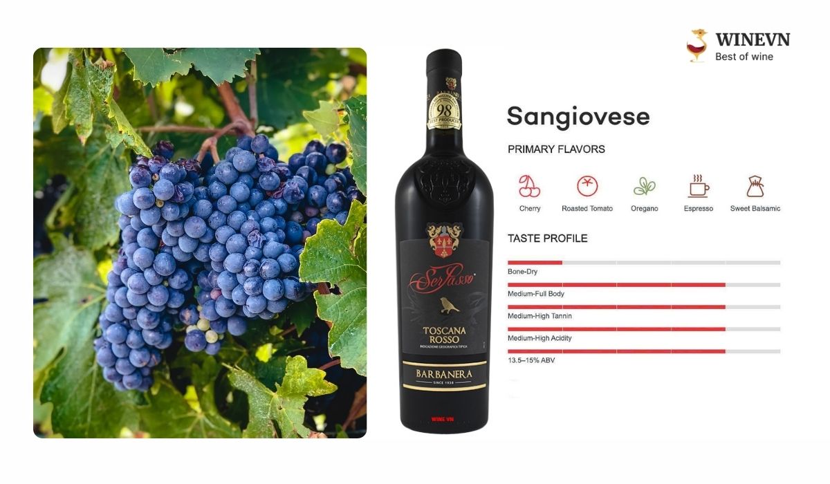 Giống nho Sangiovese làm rượu vang