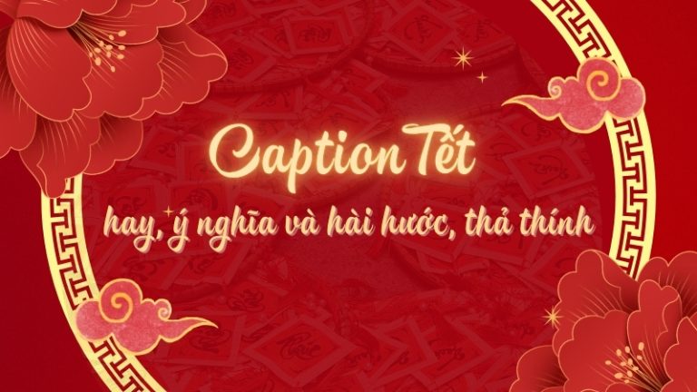 caption Tết hay