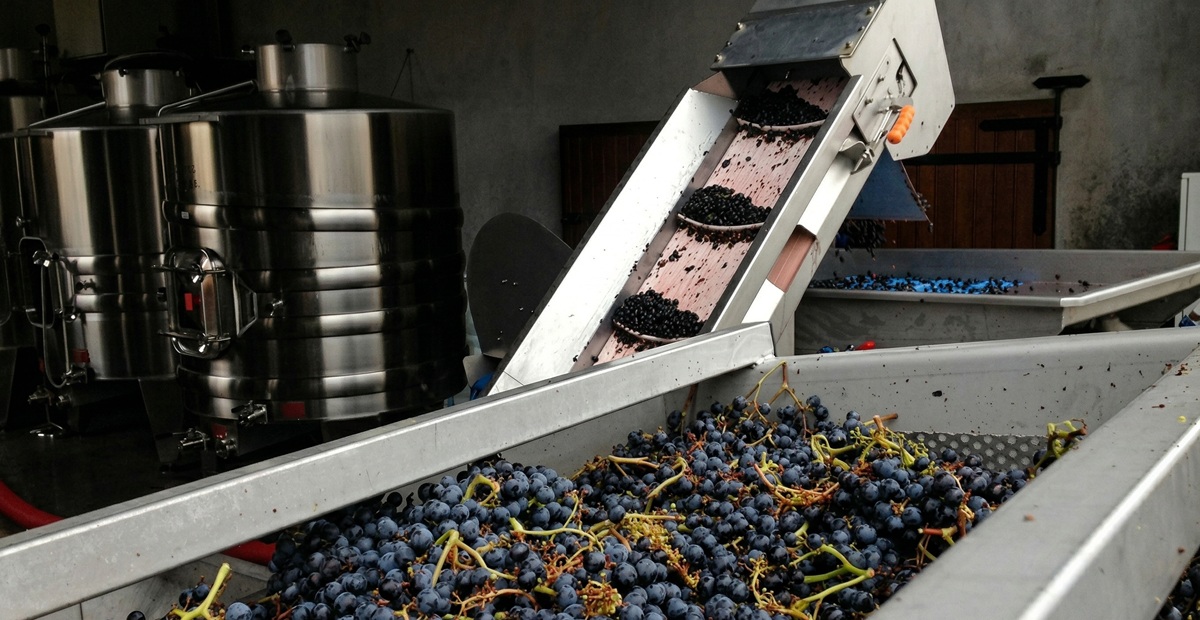 Quy trình sản xuất khép kín của Chateau