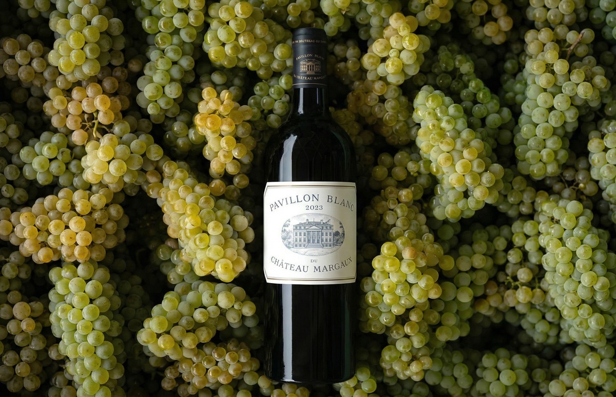 Dấu hiệu rượu Chateau ngon