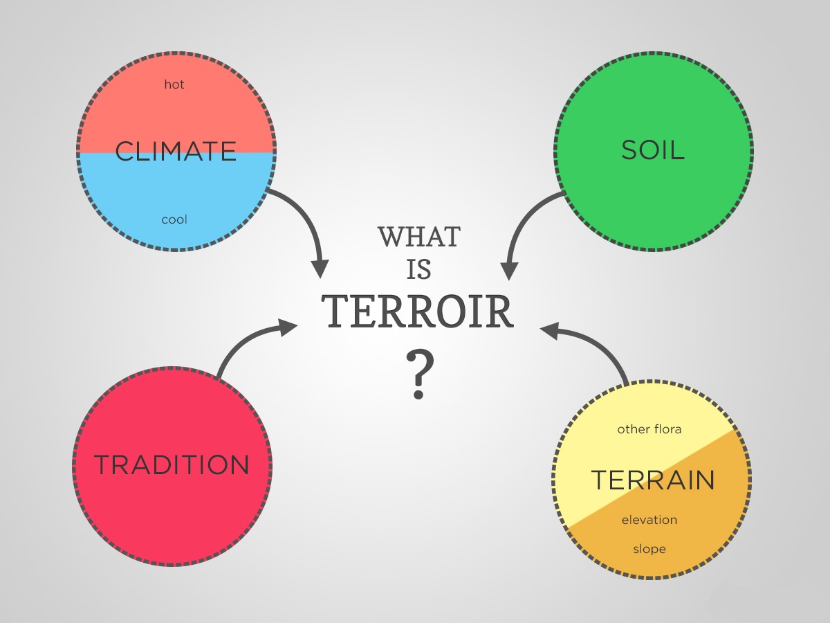Terroir là gì