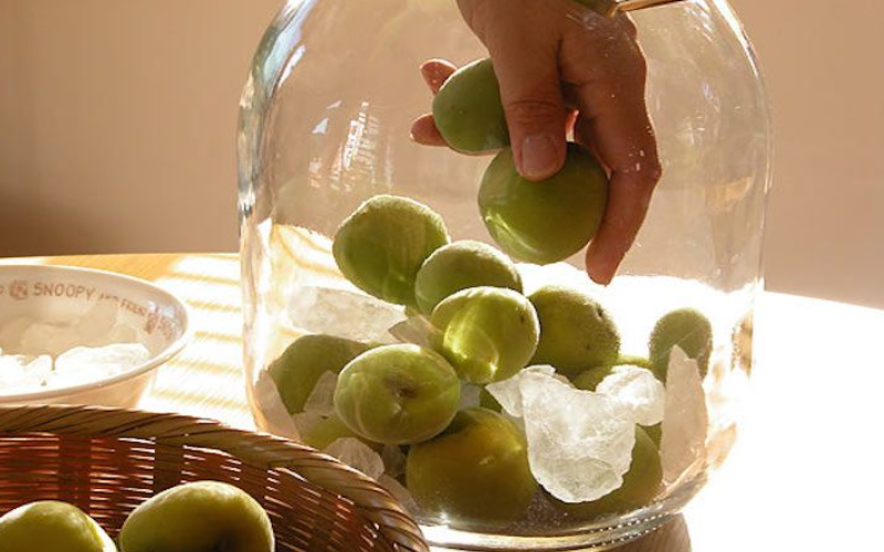 Mua rượu mơ ở đâu TP.HCM