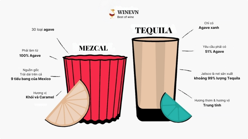 rượu Tequila và Mezcal khác gì nhau