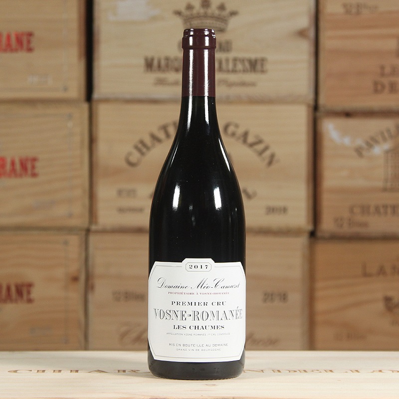 Méo-Camuzet Vosne-Romanée Premier Cru Les Chaumes