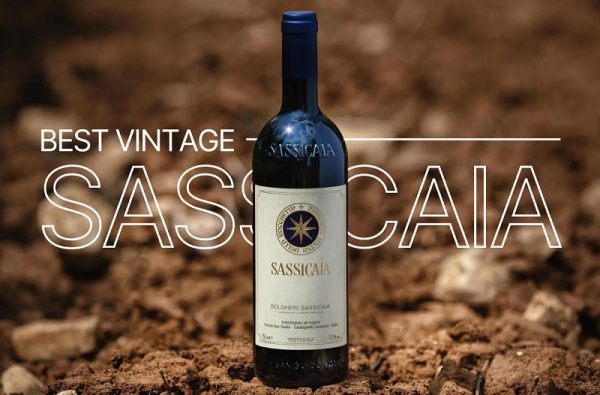3-vang-sassicaia Rượu vang Sassicaia