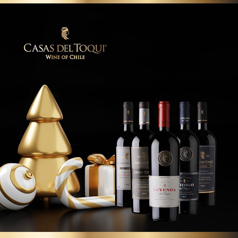 vang Casas del Toqui 