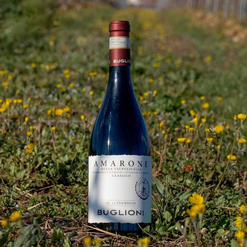 Vang Buglioni Amarone Classico IL Lussurioso