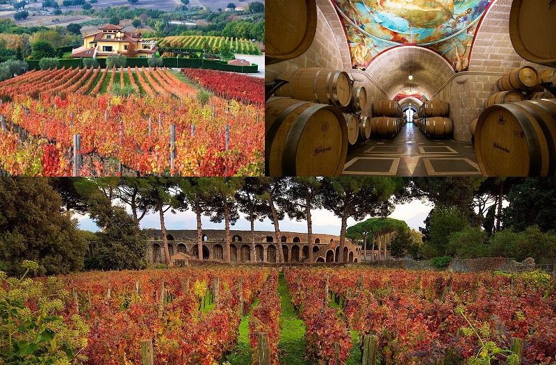 nhà sản xuất rượu vang Mastroberardino