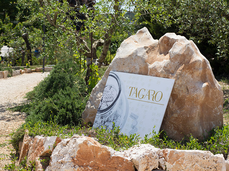 Thương hiệu Rượu Vang Tagaro