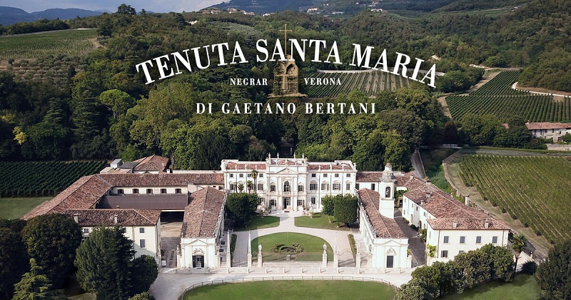 Thương hiệu Rượu Vang Bertani