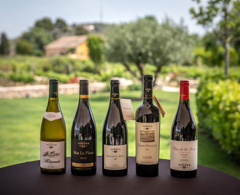 Giá rượu Vang Torres