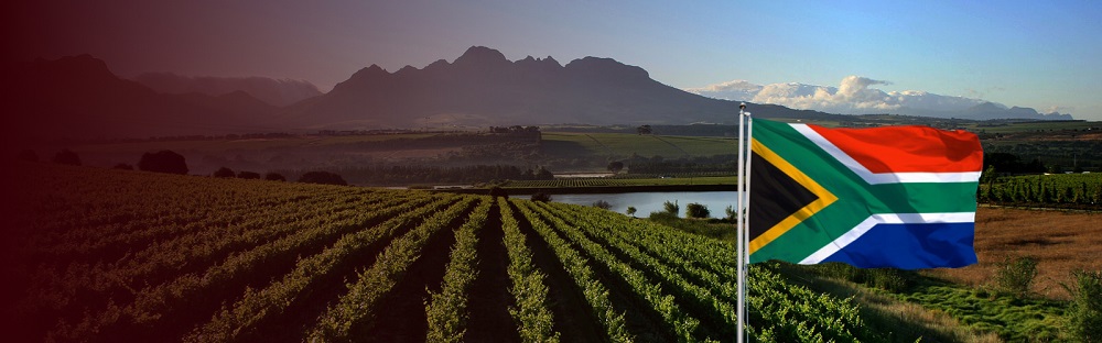 banner Rượu vang Nam Phi