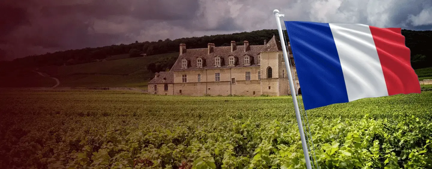 Banner rượu vang Pháp