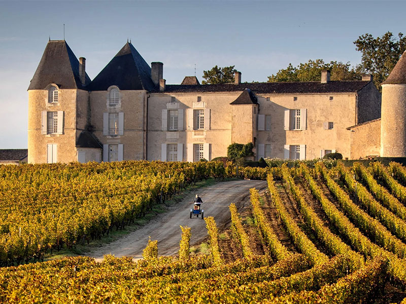 Vùng Sauternes (Bordeaux, Pháp)