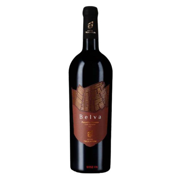 Rượu Vang Cantine Truentum Belva - Passito Rosso IGT Colli aprutini - 2021