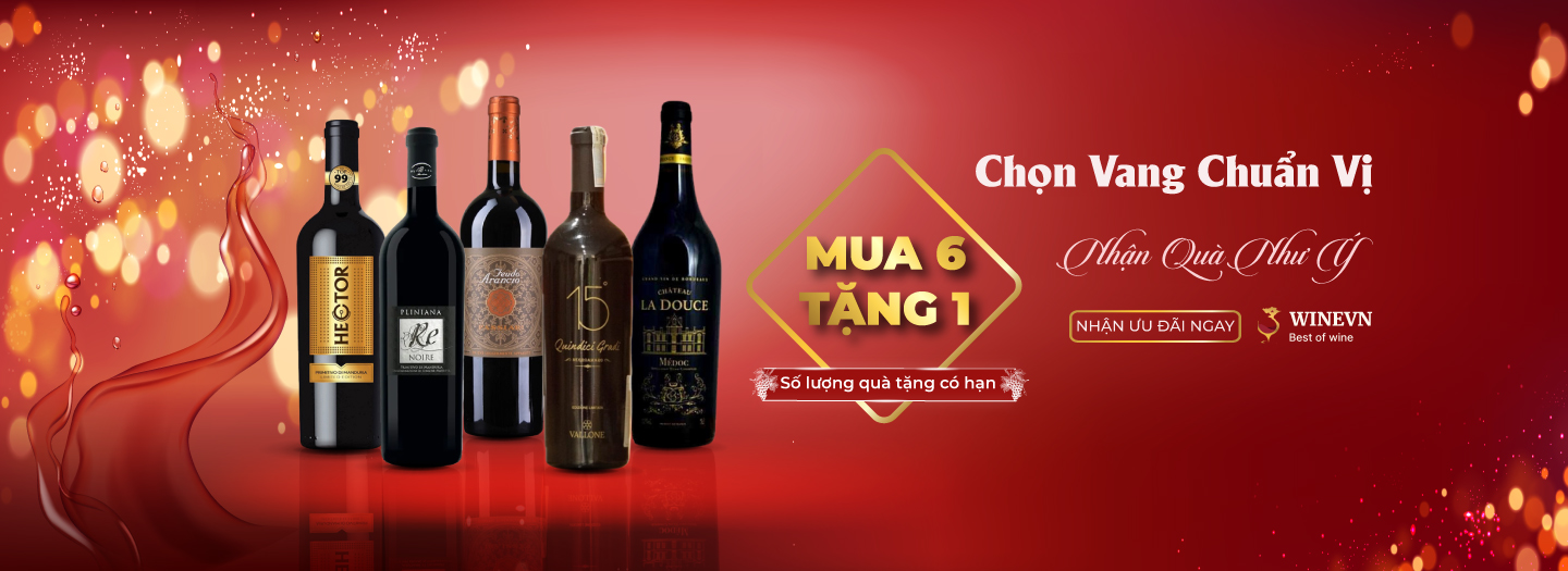 Banner mua 6 tặng 1