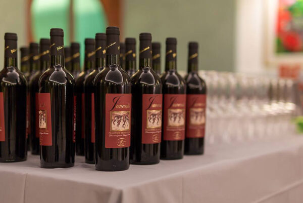 Rượu vang Juvenis Primitivo Di Manduria