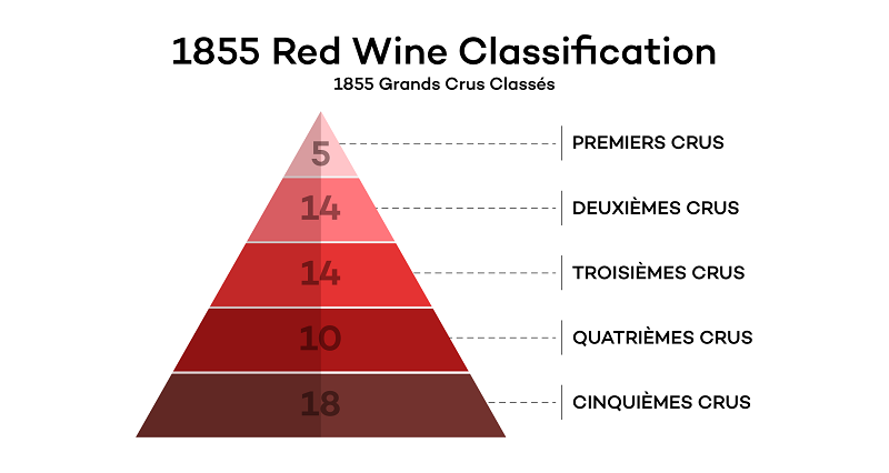 Phân hạng rượu vang Chateau