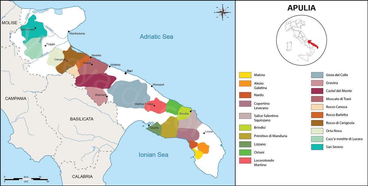 Vùng sản xuất rượu vang Puglia đến từ Ý