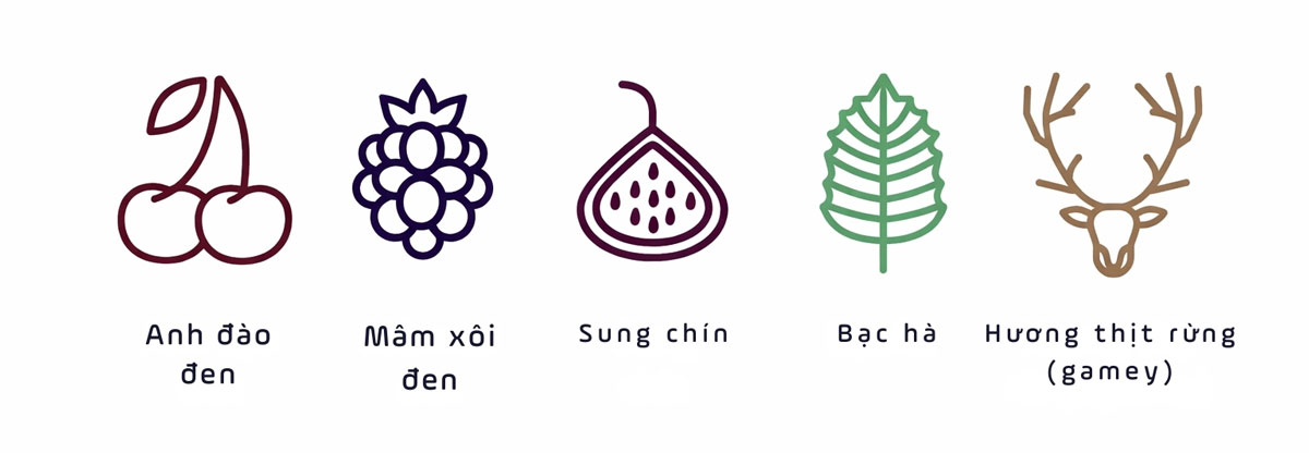 Hương vị nho Pinotage