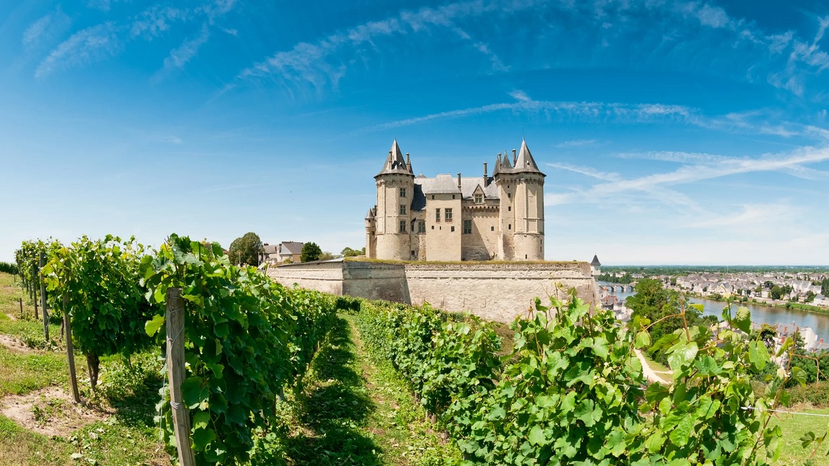 Điều kiện tự nhiên rượu vang Loire Valley