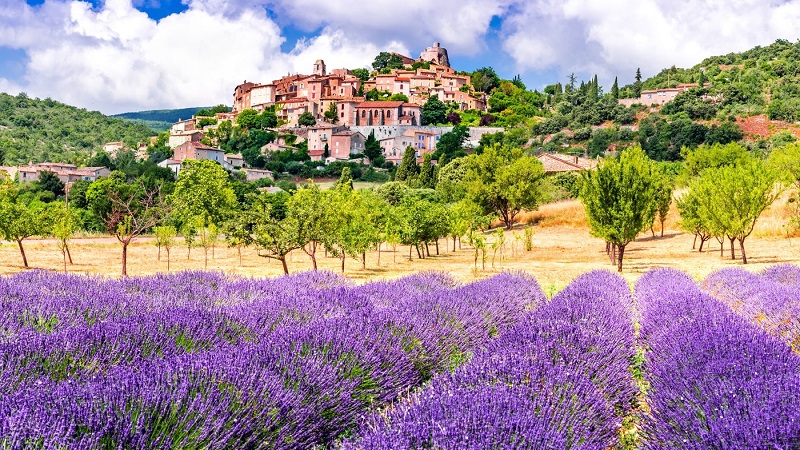 terroir rượu vang Provence