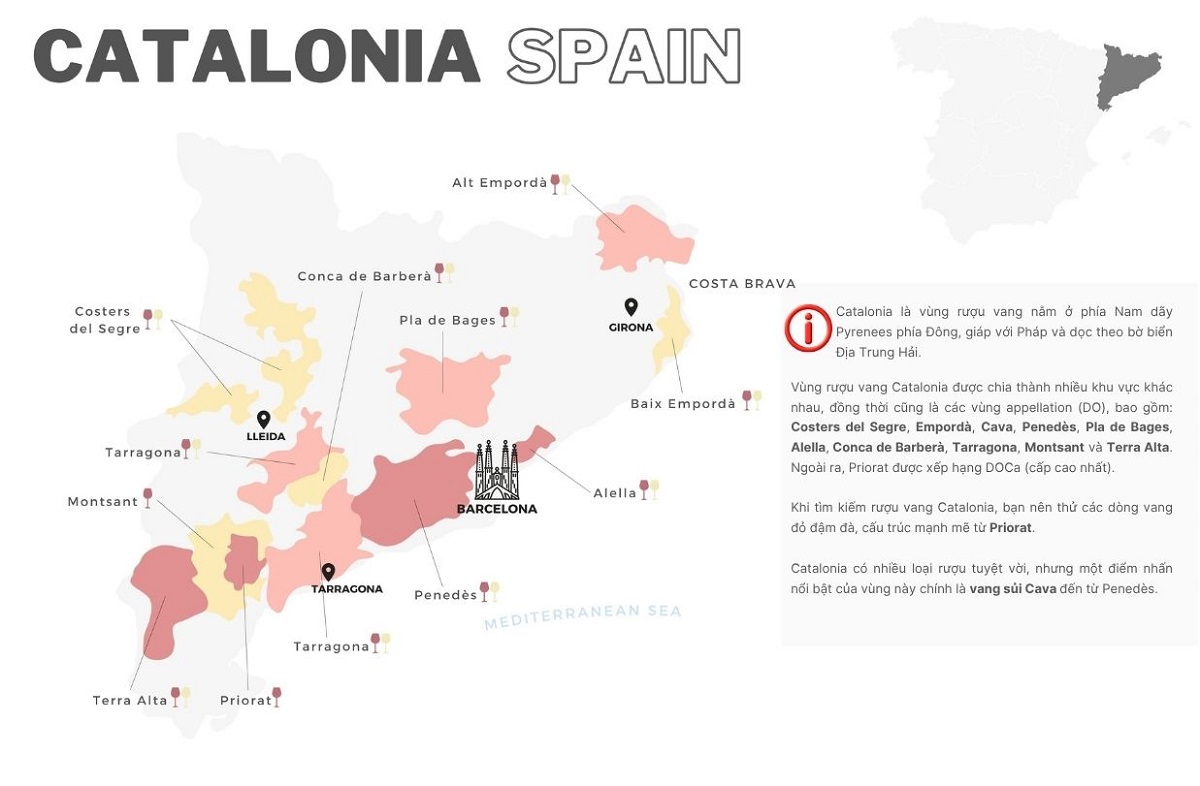 vùng rượu vang Catalunya