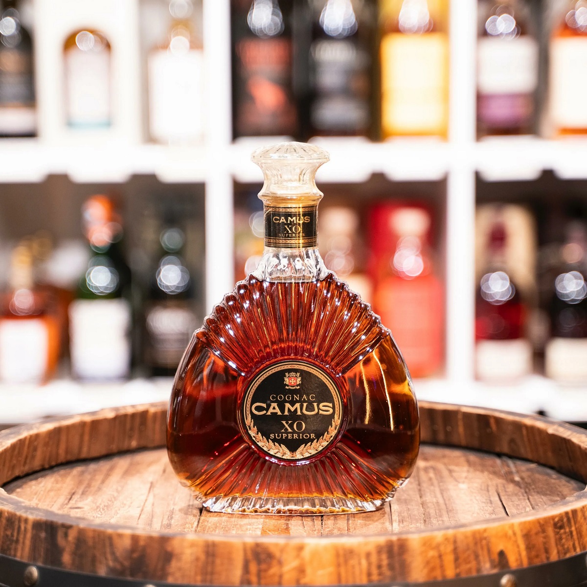 Rượu XO Cognac Camus