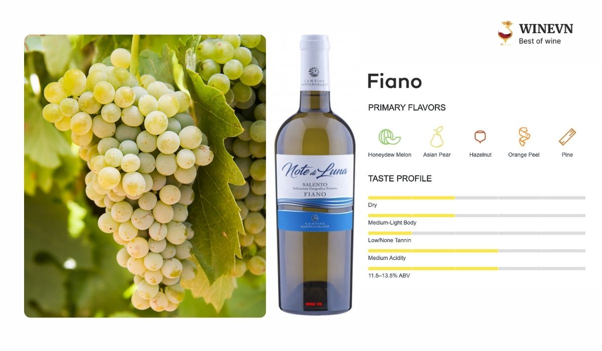 Fiano