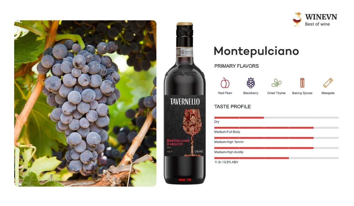 Montepulciano