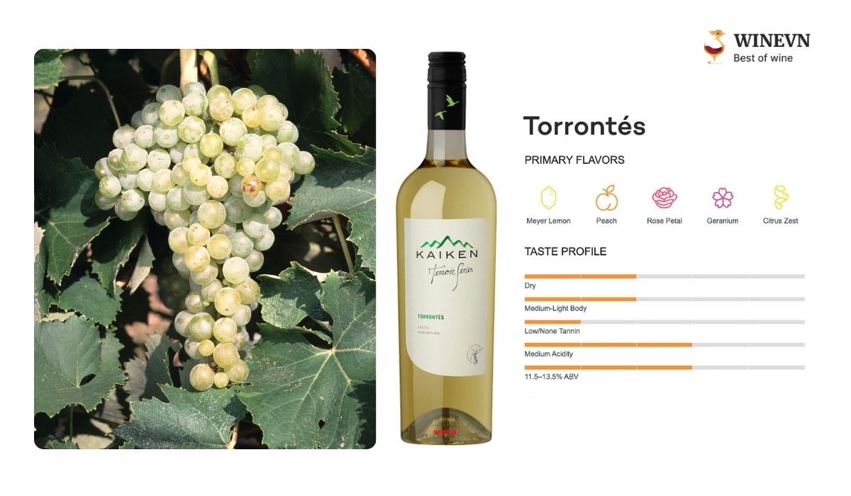 Torrontés