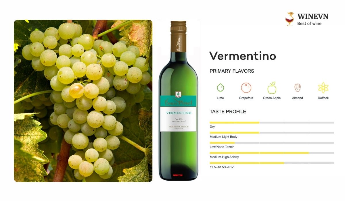 Vermentino